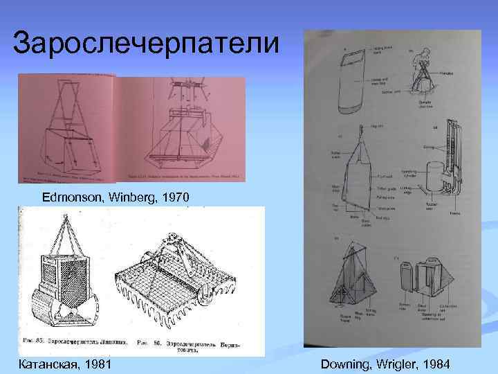 Зарослечерпатели Edmonson, Winberg, 1970 Катанская, 1981 Downing, Wrigler, 1984 