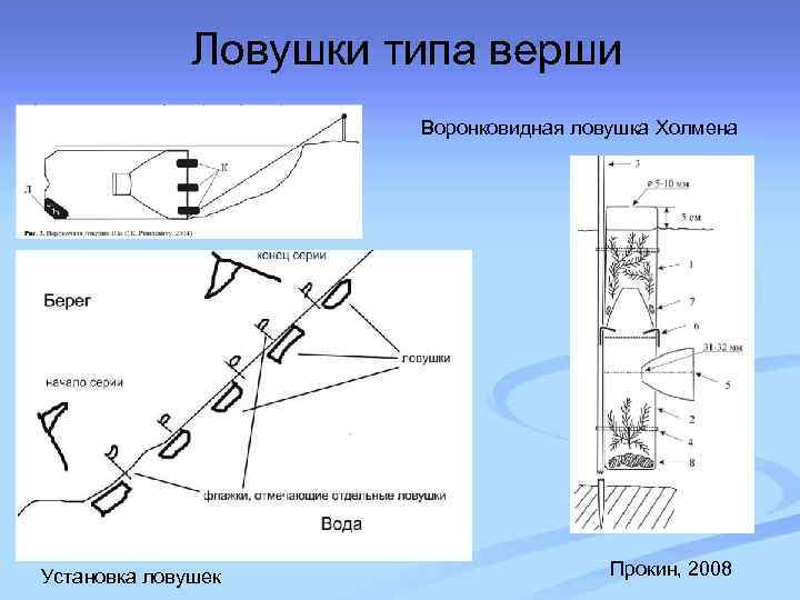 Ловушки типа верши Воронковидная ловушка Холмена Установка ловушек Прокин, 2008 