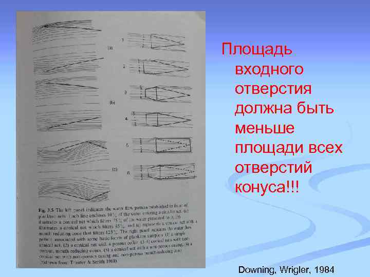 Площадь входного отверстия должна быть меньше площади всех отверстий конуса!!! Downing, Wrigler, 1984 