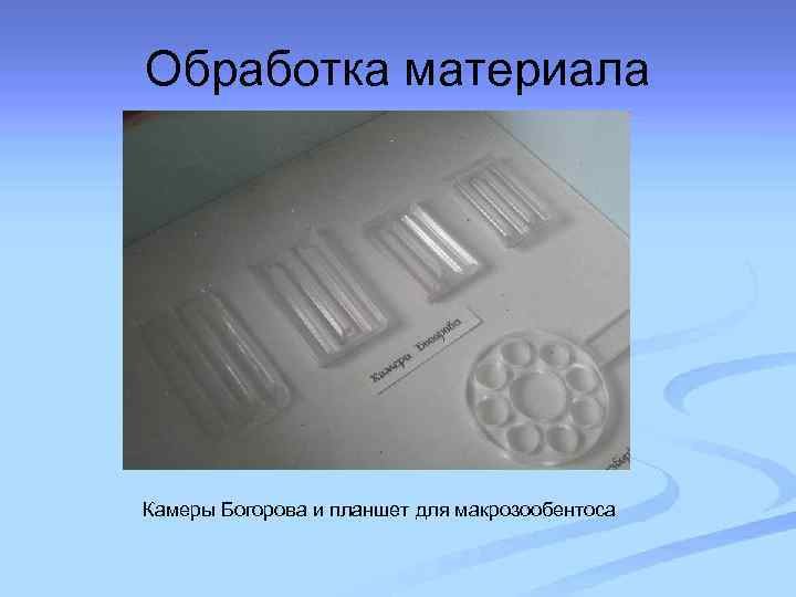 Обработка материала Камеры Богорова и планшет для макрозообентоса 