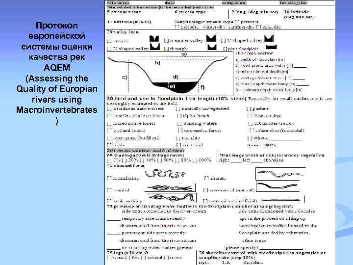 Протокол европейской системы оценки качества рек AQEM (Assessing the Quality of Europian rivers using