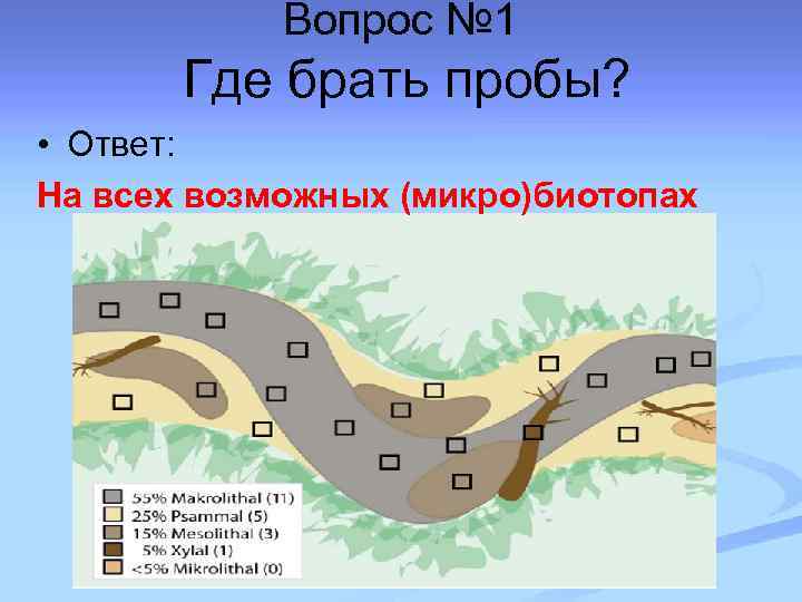 Вопрос № 1 Где брать пробы? • Ответ: На всех возможных (микро)биотопах 