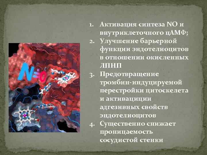 1. Активация синтеза NO и внутриклеточного ц. АМФ; 2. Улучшение барьерной функции эндотелиоцитов в