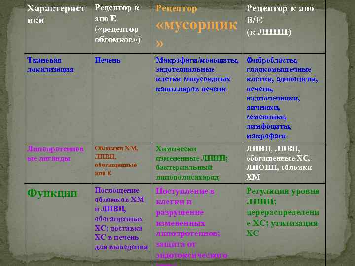 Характерист Рецептор к апо Е ики Рецептор Тканевая локализация Печень Макрофаги/моноциты, эндотелиальные клетки синусоидных