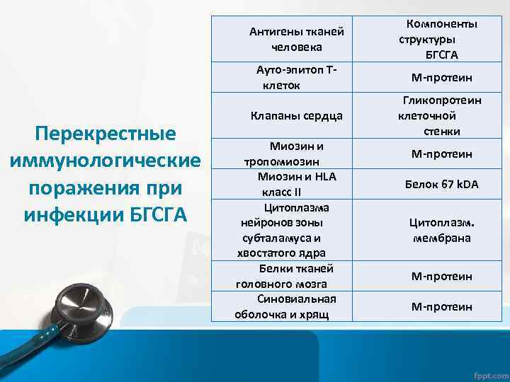 Антигены тканей человека Ауто-эпитоп Тклеток Перекрестные иммунологические поражения при инфекции БГСГА Клапаны сердца Миозин