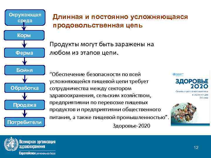 Окружающая среда Длинная и постоянно усложняющаяся продовольственная цепь Корм Ферма Бойня Обработка Продажа Потребители