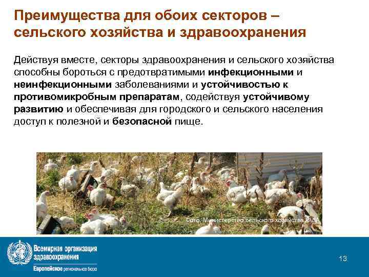 Преимущества для обоих секторов – сельского хозяйства и здравоохранения Действуя вместе, секторы здравоохранения и