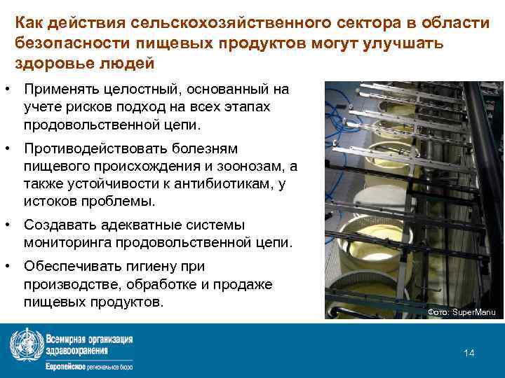 Как действия сельскохозяйственного сектора в области безопасности пищевых продуктов могут улучшать здоровье людей •