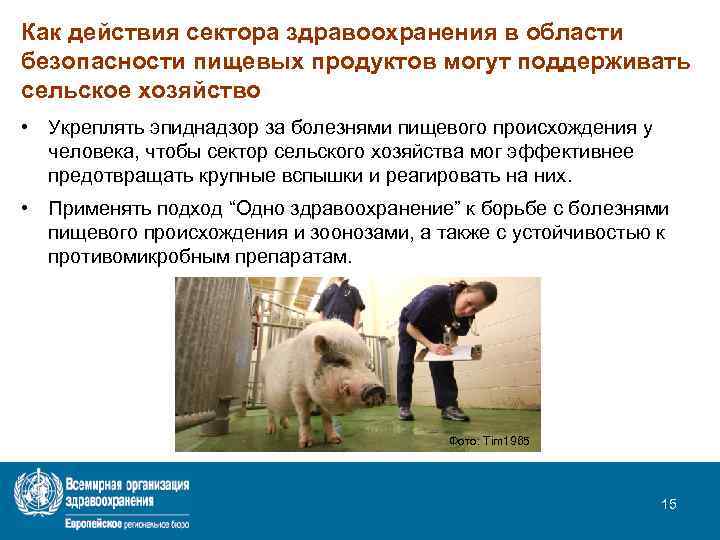 Как действия сектора здравоохранения в области безопасности пищевых продуктов могут поддерживать сельское хозяйство •