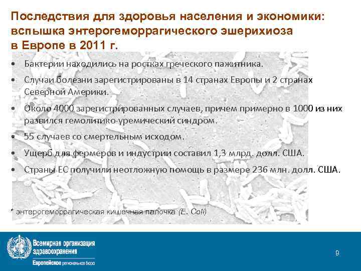 Последствия для здоровья населения и экономики: вспышка энтерогеморрагического эшерихиоза в Европе в 2011 г.