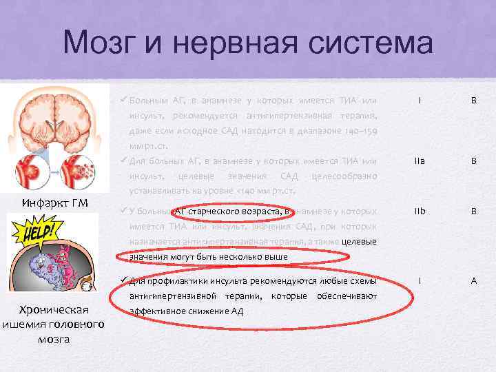 Мозг и нервная система ü Больным АГ, в анамнезе у которых имеется ТИА или
