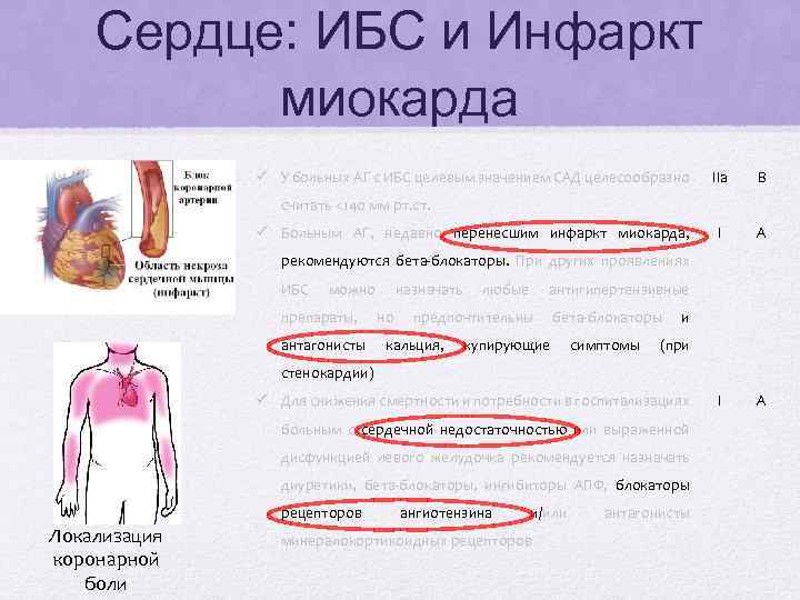 Сердце: ИБС и Инфаркт миокарда ü У больных АГ с ИБС целевым значением САД