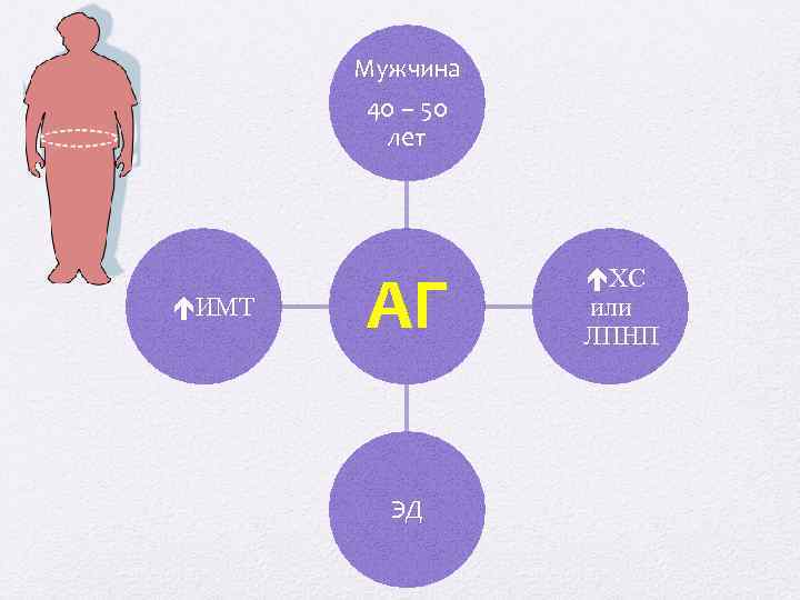 Мужчина 40 – 50 лет ИМТ АГ ЭД ХС или ЛПНП 