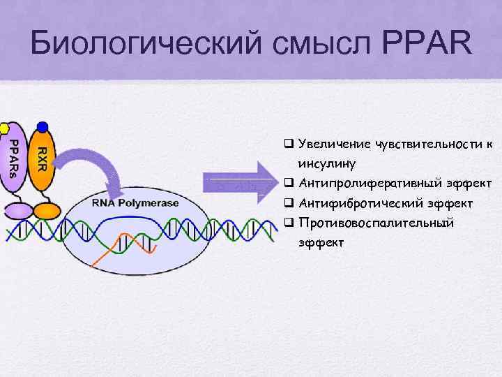 Биологический смысл