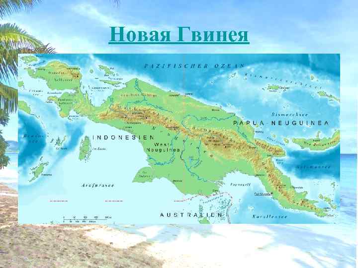 Новая Гвинея 