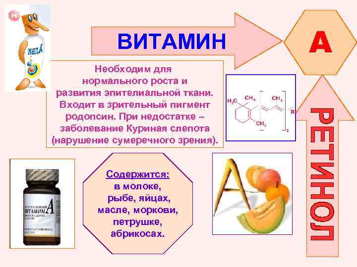 ВИТАМИН Необходим для нормального роста и развития эпителиальной ткани. Входит в зрительный пигмент родопсин.