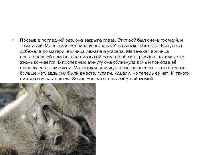  • Провыв в последний раз, она закрыла глаза. Этот вой был очень громкий,