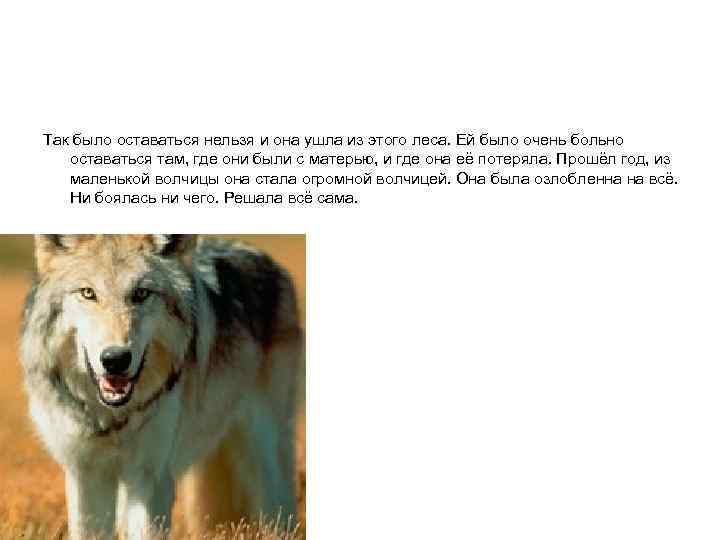 Так было оставаться нельзя и она ушла из этого леса. Ей было очень больно