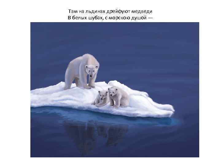 Там на льдинах дрейфуют медведи В белых шубах, с морскою душой — 