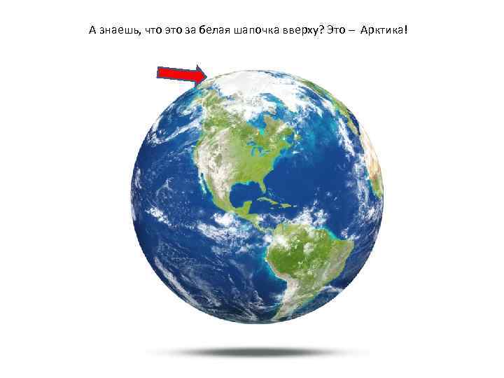 А знаешь, что это за белая шапочка вверху? Это – Арктика! 