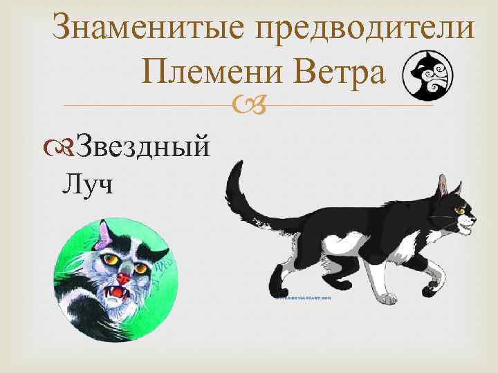 Коты воители воинский закон картинки