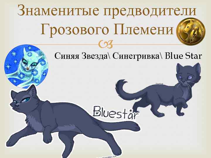 Знаменитые предводители Грозового Племени Синяя Звезда Синегривка Blue Star 
