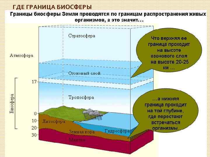 ГДЕ ГРАНИЦА БИОСФЕРЫ 