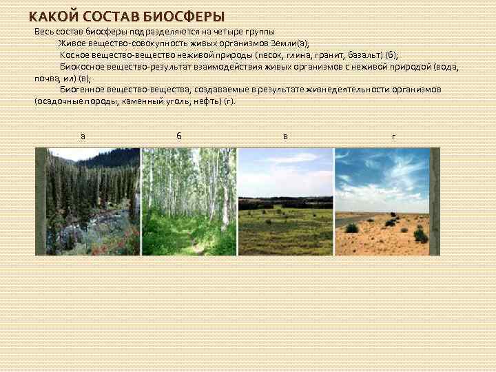 КАКОЙ СОСТАВ БИОСФЕРЫ Весь состав биосферы подразделяются на четыре группы Живое вещество-совокупность живых организмов