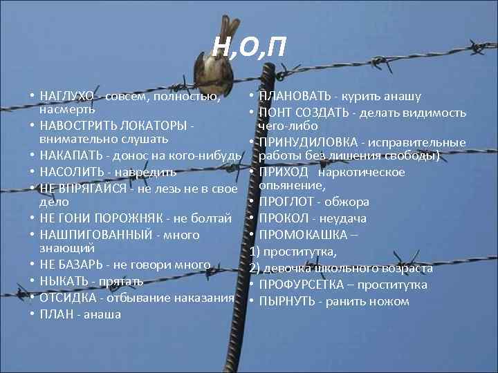 Н, О, П • НАГЛУХО - совсем, полностью, насмерть • НАВОСТРИТЬ ЛОКАТОРЫ внимательно слушать