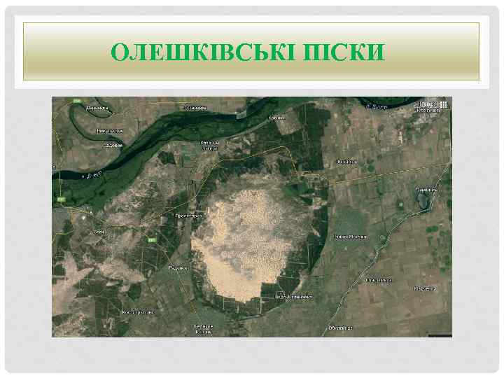 ОЛЕШКІВСЬКІ ПІСКИ 