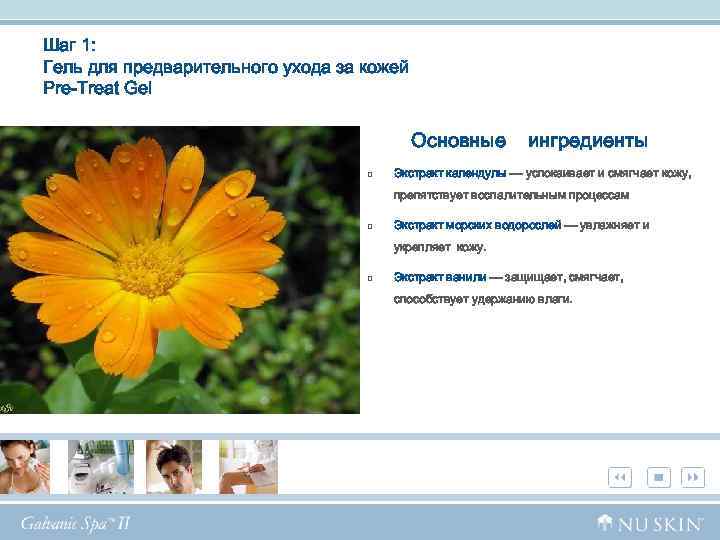 Шаг 1: Гель для предварительного ухода за кожей Pre-Treat Gel Основные p ингредиенты Экстракт