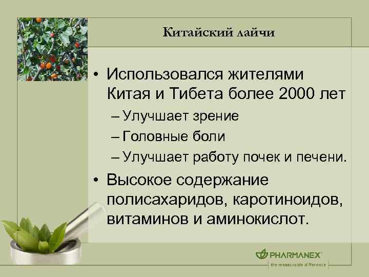 Китайский лайчи • Использовался жителями Китая и Тибета более 2000 лет – Улучшает зрение