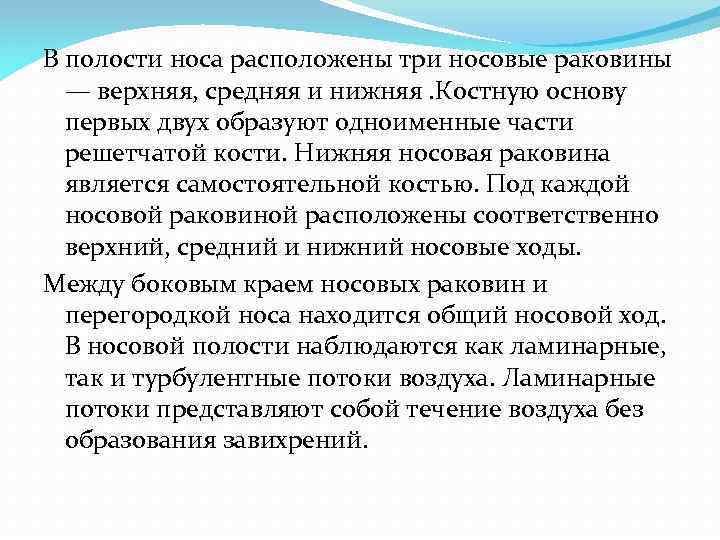 В полости носа расположены три носовые раковины — верхняя, средняя и нижняя. Костную основу