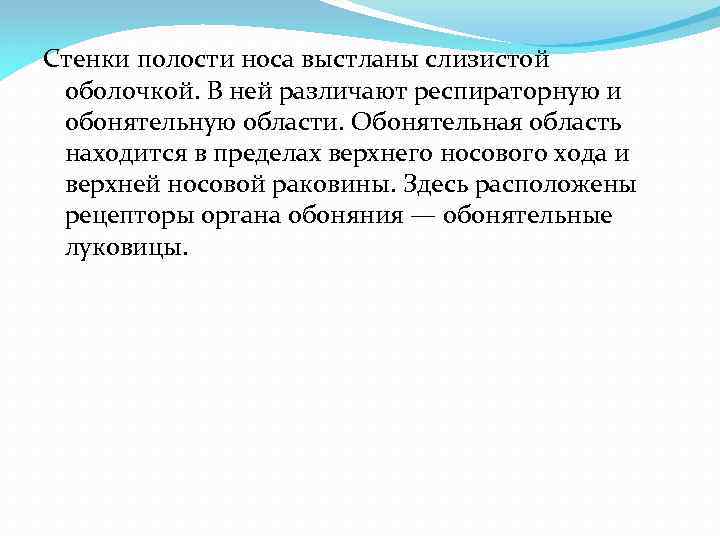 Стенки полости носа выстланы слизистой оболочкой. В ней различают респираторную и обонятельную области. Обонятельная