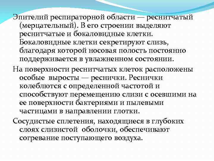 Эпителий респираторной области — реснитчатый (мерцательный). В его строении выделяют реснитчатые и бокаловидные клетки.