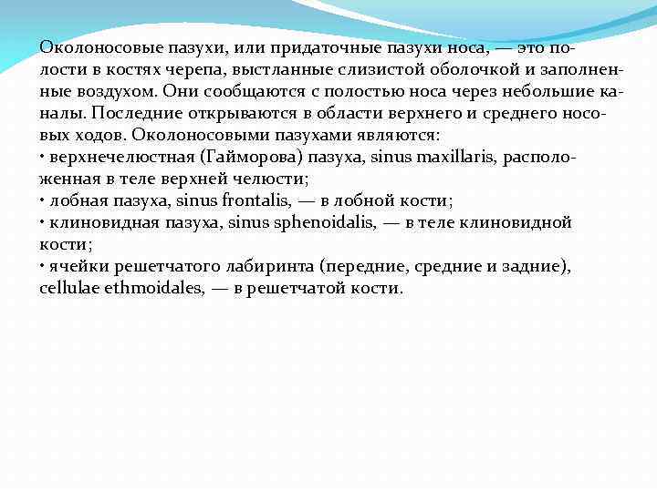 Околоносовые пазухи, или придаточные пазухи носа, — это по лости в костях черепа, выстланные