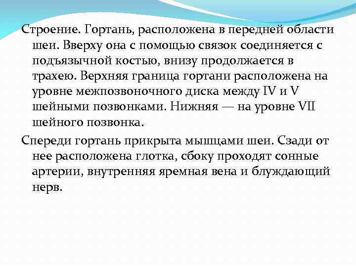 Строение. Гортань, расположена в передней области шеи. Вверху она с помощью связок соединяется с