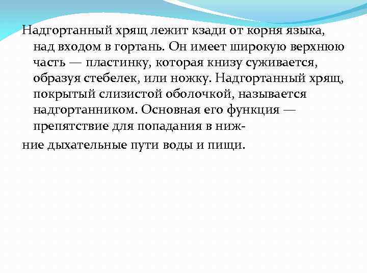 Надгортанный хрящ лежит кзади от корня языка, над входом в гортань. Он имеет широкую