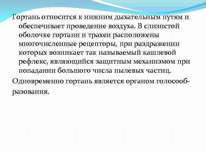 Гортань относится к нижним дыхательным путям и обеспечивает проведение воздуха. В слизистой оболочке гортани