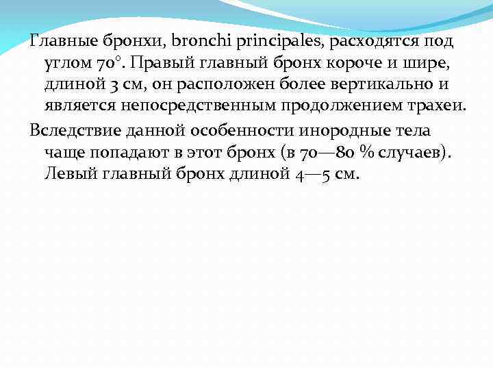 Главные бронхи, bronchi principales, расходятся под углом 70°. Правый главный бронх короче и шире,