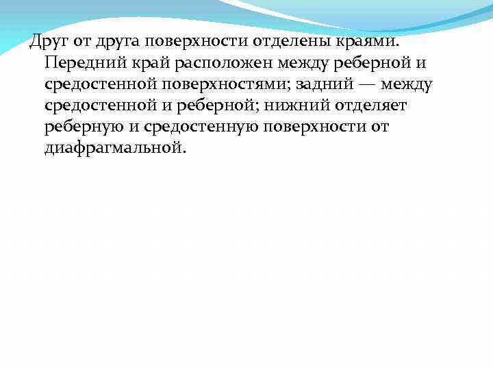 Друг от друга поверхности отделены краями. Передний край расположен между реберной и средостенной поверхностями;
