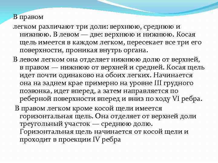 В правом легком различают три доли: верхнюю, среднюю и нижнюю. В левом — две: