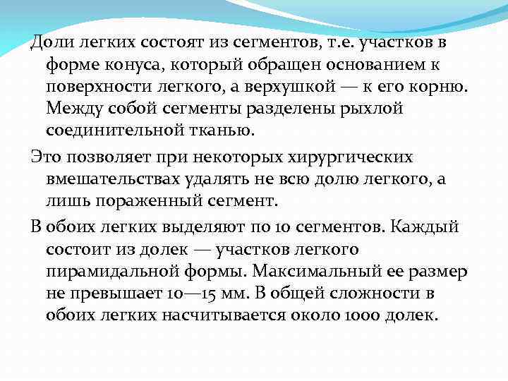 Доли легких состоят из сегментов, т. е. участков в форме конуса, который обращен основанием