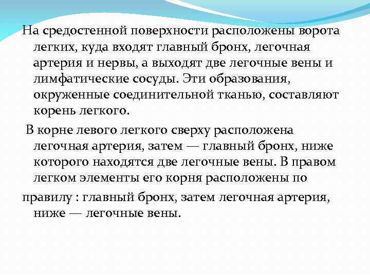 На средостенной поверхности расположены ворота легких, куда входят главный бронх, легочная артерия и нервы,