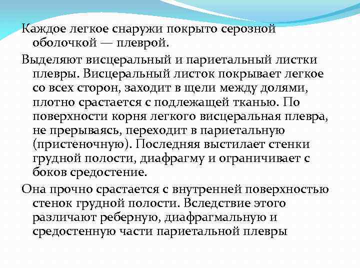 Каждое легкое снаружи покрыто серозной оболочкой — плеврой. Выделяют висцеральный и париетальный листки плевры.