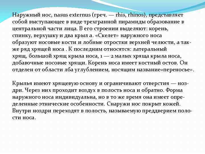 Наружный нос, nasus externus (греч. — rhis, rhinos), представляет собой выступающее в виде трехгранной