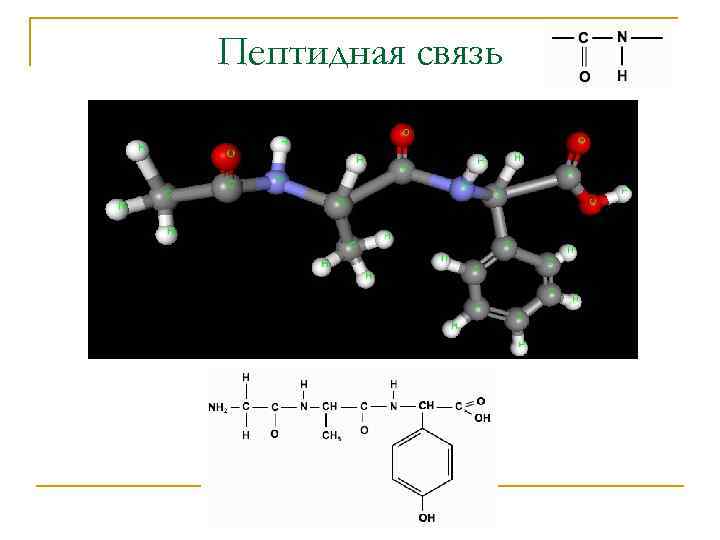 Пептидная связь 