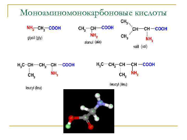 Моноаминомонокарбоновые кислоты 