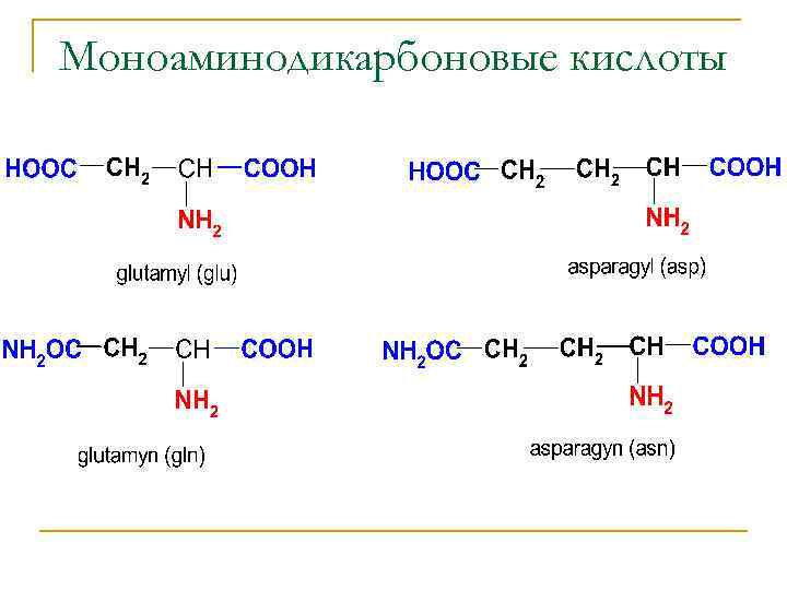 Моноаминодикарбоновые кислоты 