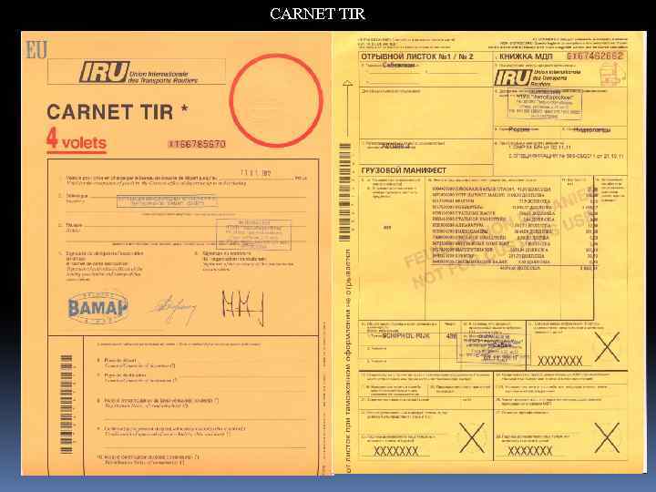 Образец заполнения carnet tir